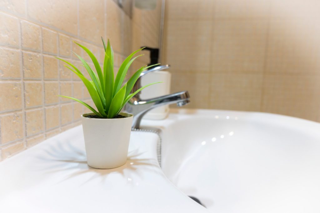 Baño del apartamento turístico El Barro Colorao en Segura de León